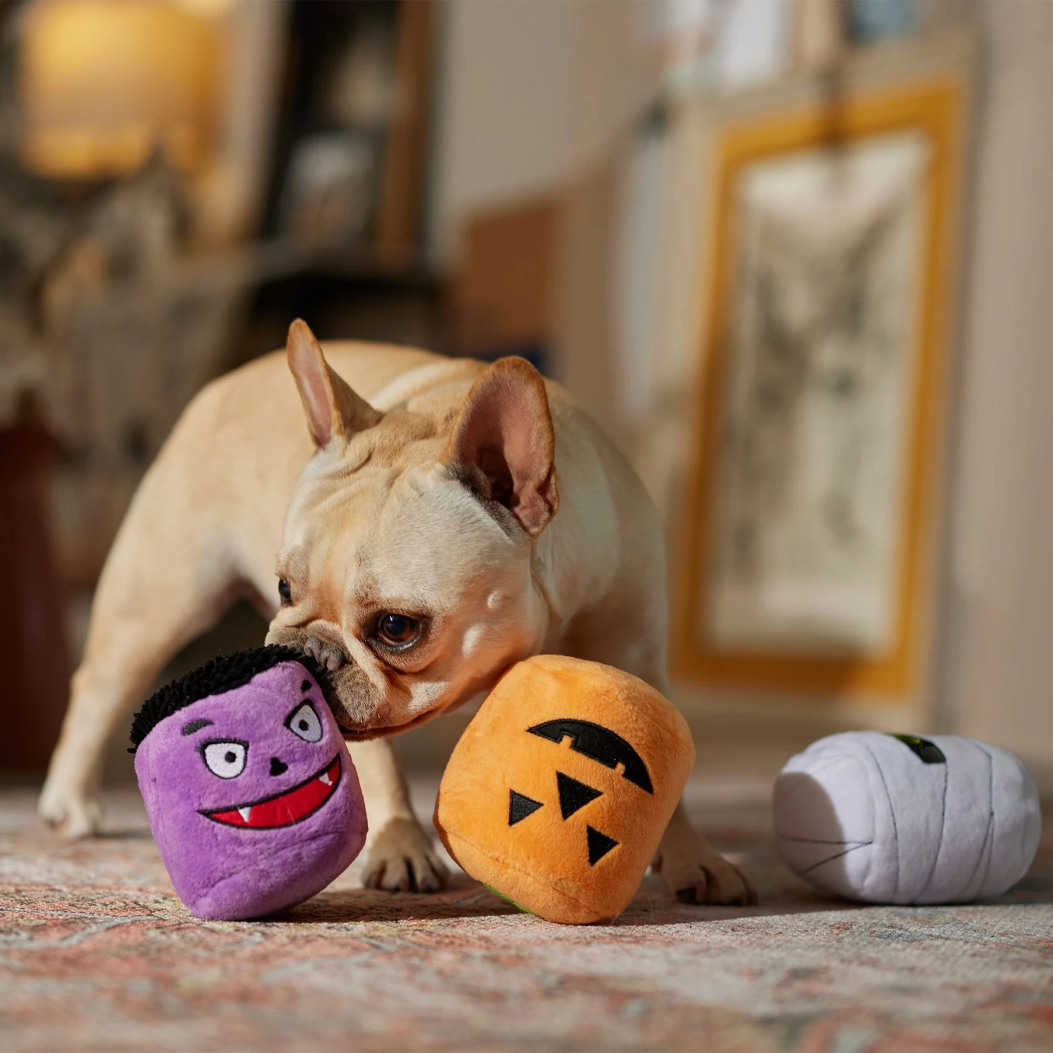 Frisco Halloween Haunted Friends Plush Squeaky Dog Toy, 3 Count 5 Frisco Halloween Haunted Friends Plush Squeaky Dog Toy, 3 Count - Image 3