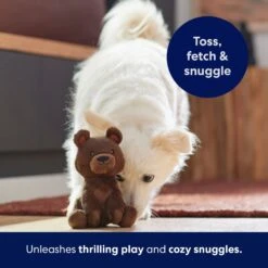 Frisco Camping Bear Plush Squeaky Dog Toy 12 Frisco Camping Bear Plush Squeaky Dog Toy -Frisco 270999 PT5. AC SS1800 V1691785245