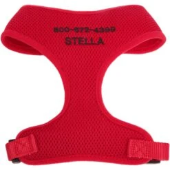 Frisco 8 Frisco Small & Medium Breed Soft Mesh Personalized Back Clip Dog Harness