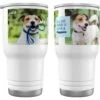 Frisco "Classic" Double Walled Personalized Tumbler. 30-oz 2 Frisco "Classic" Double Walled Personalized Tumbler. 30-oz -Frisco 272541 MAIN. AC SS1800 V1624984366