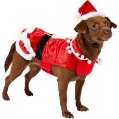 Frisco Mrs. Claus Dog & Cat Costume