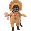 Frisco Front Walking Gingerbread Dog & Cat Costume -Frisco 276156 MAIN. AC SS1800 V1631659697