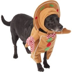 Frisco Front Walking Gingerbread Dog & Cat Costume 12 Frisco Front Walking Gingerbread Dog & Cat Costume -Frisco 276156 PT3. AC SS1800 V1631660334
