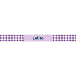 Frisco Personalized Gingham Plaid Small Dog & Cat Bowl 8 Frisco Personalized Gingham Plaid Small Dog & Cat Bowl -Frisco 278928 PT2. AC SS1800 V1629146797