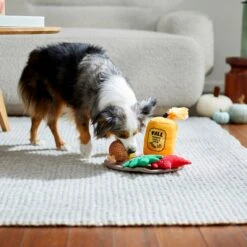 Frisco Fall Festive Candle Charger Plush Squeaky Dog Toy, 4 Count -Frisco 285615 PT3. AC SS1800 V1629725135