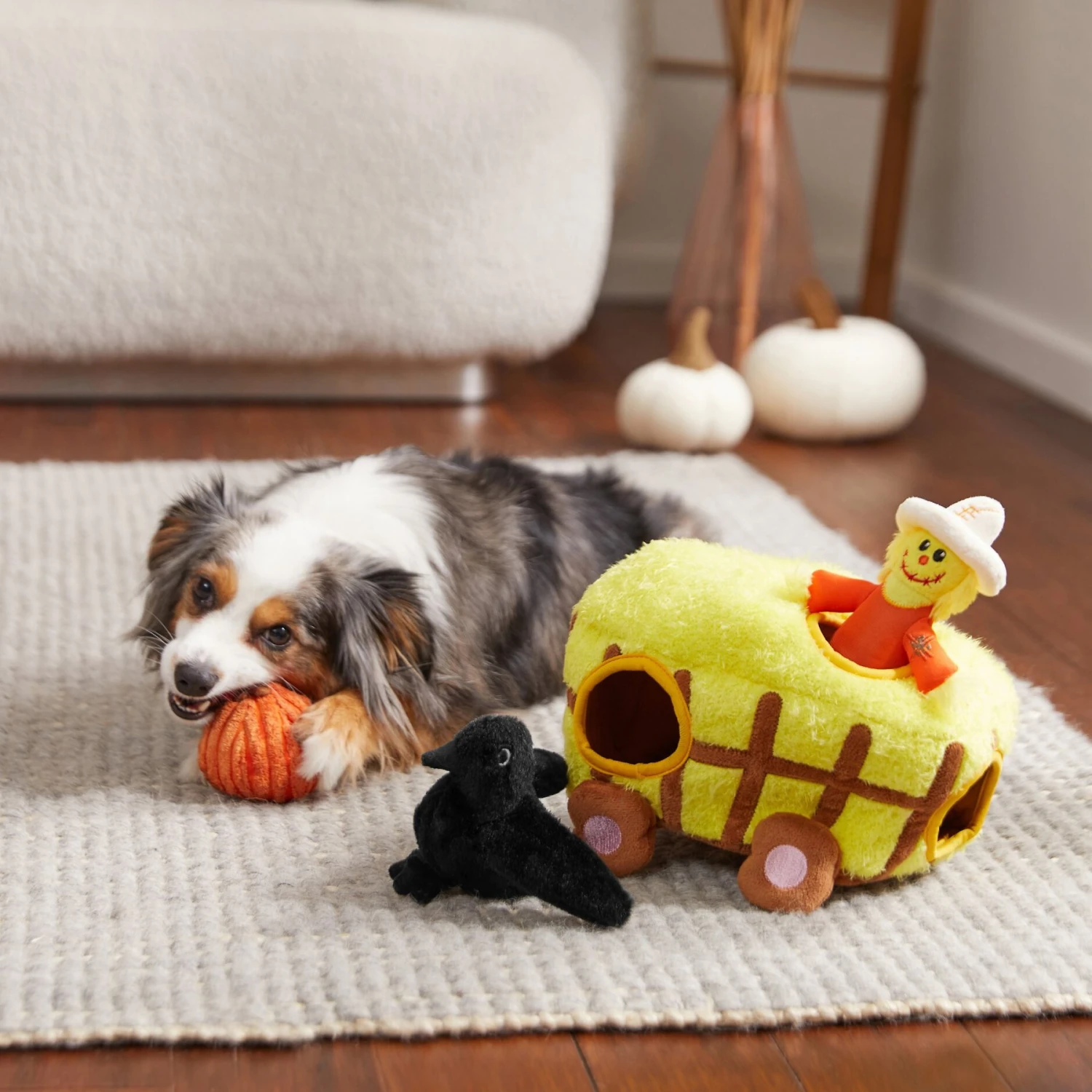 Frisco Fall Hay Wagon Hide & Seek Puzzle Plush Squeaky Dog Toy 6 Frisco Fall Hay Wagon Hide & Seek Puzzle Plush Squeaky Dog Toy - Image 4
