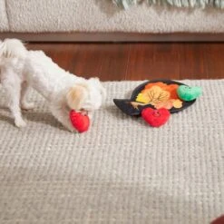 Frisco Fall Autumn Tree With Apples Interactive Plush Squeaky Dog Toy, 4 Count -Frisco 285633 PT3. AC SS1800 V1629725360