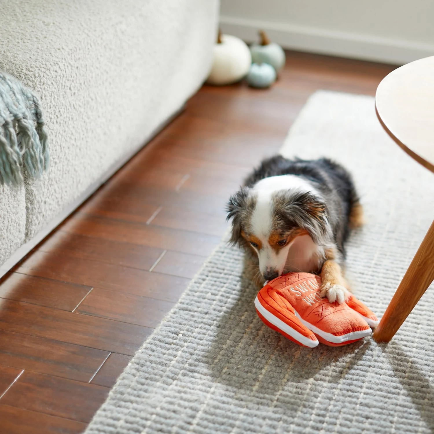 Frisco Fall Sweater Weather Flat Plush Squeaky Dog Toy 5 Frisco Fall Sweater Weather Flat Plush Squeaky Dog Toy - Image 3