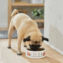 Frisco Flower Ceramic Personalized Dog Bowl -Frisco 286985 PT2. AC SS1800 V1625764713