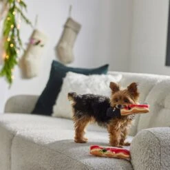 Frisco Holiday Bacon Plush Squeaky Dog Toy, 2 Count 7 Frisco Holiday Bacon Plush Squeaky Dog Toy, 2 Count -Frisco 287143 PT3. AC SS1800 V1632774888