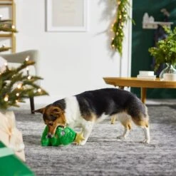 Frisco Holiday Tree Thin Plush Squeaky Dog Toy -Frisco 287167 PT3. AC SS1800 V1632773873