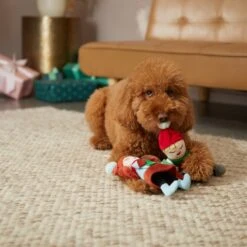 Frisco Holiday Carolers Plush Squeaky Dog Toy, 3 Count 7 Frisco Holiday Carolers Plush Squeaky Dog Toy, 3 Count -Frisco 287169 PT3. AC SS1800 V1632774907