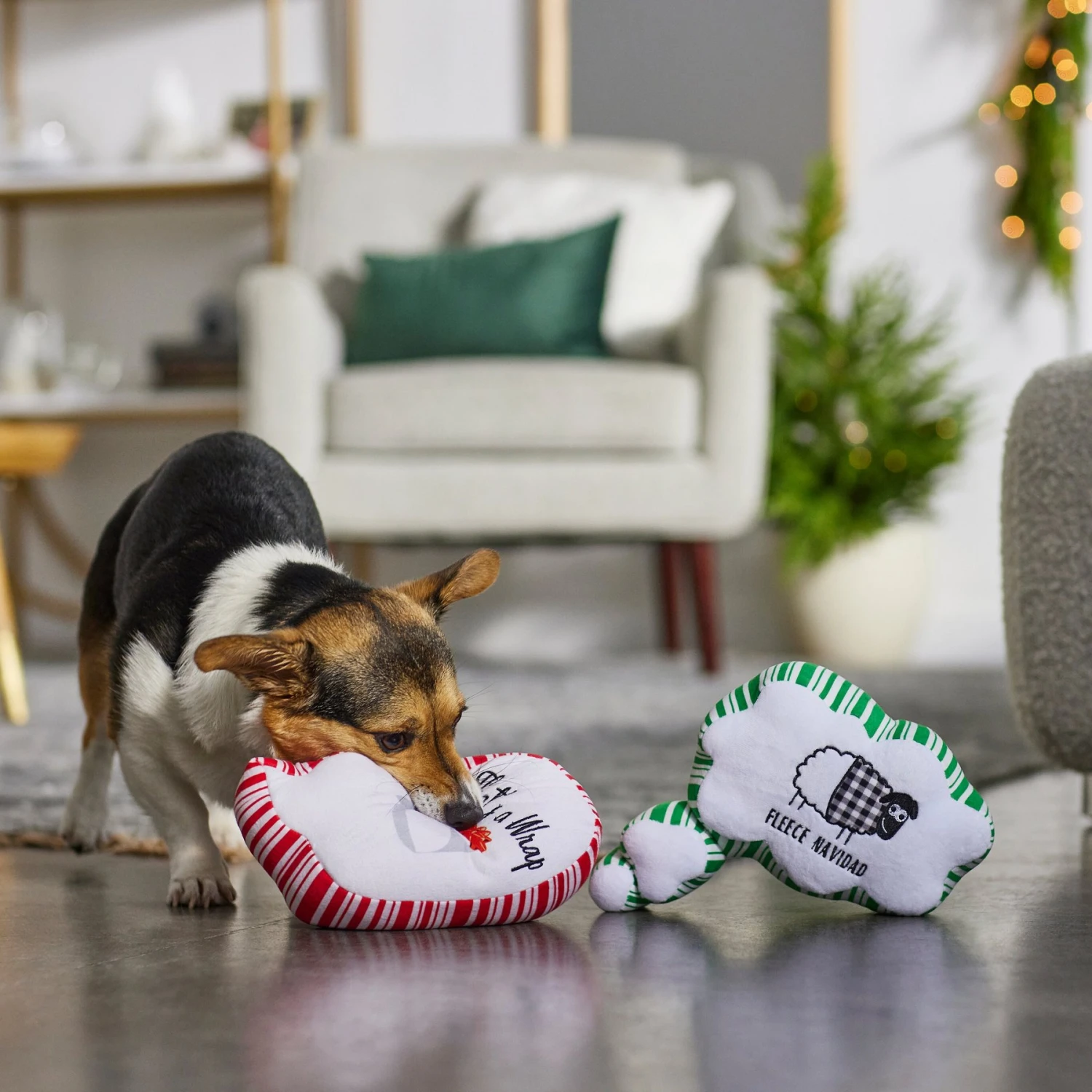 Frisco Holiday Thought Bubble Plush Squeaky Dog Toy, 2 Count 5 Frisco Holiday Thought Bubble Plush Squeaky Dog Toy, 2 Count - Image 3