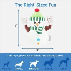 Frisco Holiday Naughty Or Nice Snowman Reversible Plush Squeaky Dog Toy 8 Frisco Holiday Naughty Or Nice Snowman Reversible Plush Squeaky Dog Toy -Frisco 287219 PT2. AC SS1800 V1637704003