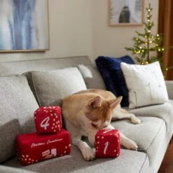 Frisco Holiday 12 Day Countdown Blocks Plush Squeaky Dog Toy, 3 Count 7 Frisco Holiday 12 Day Countdown Blocks Plush Squeaky Dog Toy, 3 Count -Frisco 287447 PT3. AC SS1800 V1632774583