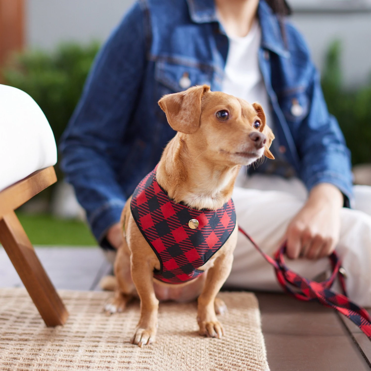 Frisco Fashion Over-The-Head Harness, Blue Plaid 7 Frisco Fashion Over-The-Head Harness, Blue Plaid - Image 5