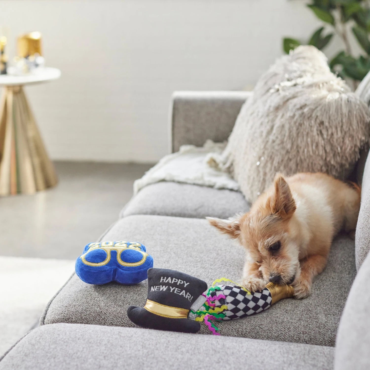 Frisco New Year's Eve Party Essentials Plush Squeaky Dog Toy 5 Frisco New Year's Eve Party Essentials Plush Squeaky Dog Toy - Image 3