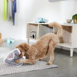 Frisco Scale Plush Squeaky Dog Toy -Frisco 288911 PT3. AC SS1800 V1638289585