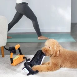 Frisco Treadmill & Bike Plush Squeaky Dog Toy, 2 Count -Frisco 288921 PT3. AC SS1800 V1638290517