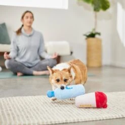 Frisco Protein & Water Bottle Cruncher Dog Toy 7 Frisco Protein & Water Bottle Cruncher Dog Toy -Frisco 288927 PT3. AC SS1800 V1638291847