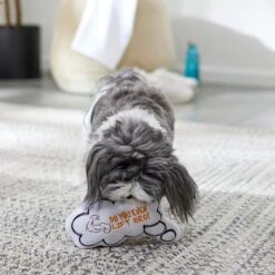 Frisco Message Bubble Plush Squeaky Dog Toy 9 Frisco Message Bubble Plush Squeaky Dog Toy -Frisco 288941 PT3. AC SS1800 V1638289328