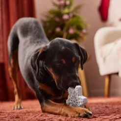 Frisco Holiday Nylon Snowflake Dog Chew Toy, Peanut Butter Flavor, Medium -Frisco 291387 PT3. AC SS1800 V1629306692