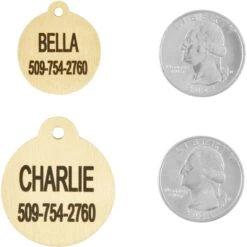 Frisco Brass Personalized Dog & Cat ID Tag, Round 10 Frisco Brass Personalized Dog & Cat ID Tag, Round -Frisco 296194 PT5. AC SS1800 V1628186525