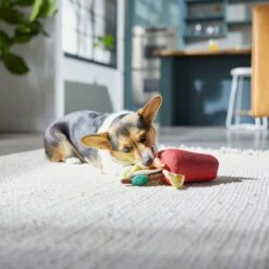 Frisco Brunch Bloody Mary Plush Squeaky Dog Toy -Frisco 297228 PT2. AC SS1800 V1642088343