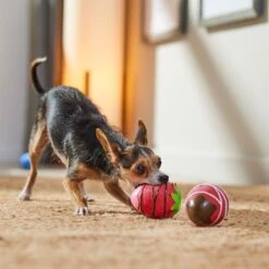 Frisco Valentine Chocolate Covered Strawberries Latex Squeaky Dog Toy 8 Frisco Valentine Chocolate Covered Strawberries Latex Squeaky Dog Toy -Frisco 298923 PT3. AC SS1800 V1701365172