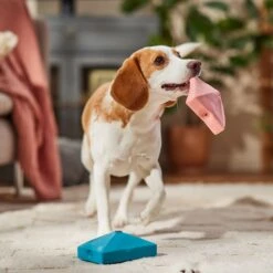 Frisco Valentine Love Letters Latex Squeaky Dog Toy -Frisco 298925 PT3. AC SS1800 V1701365173