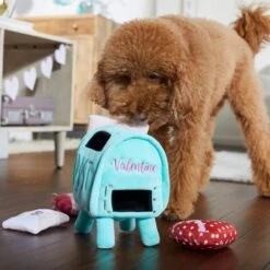 Frisco Valentine Love Letters Hide & Seek Puzzle Plush Squeaky Dog Toy 10 Frisco Valentine Love Letters Hide & Seek Puzzle Plush Squeaky Dog Toy -Frisco 298929 PT3. AC SS1800 V1638987486