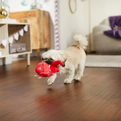 Frisco Valentine Anatomical Heart Plush Squeaky Dog Toy -Frisco 298933 PT3. AC SS1800 V1638987632