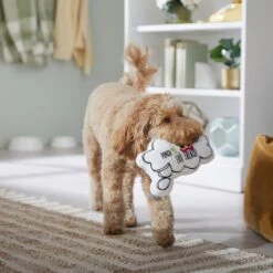 Frisco St. Patrick's Thought Bubble Reversible Plush Squeaky Dog Toy 12 Frisco St. Patrick's Thought Bubble Reversible Plush Squeaky Dog Toy -Frisco 303134 PT4. AC SS1800 V1702500565