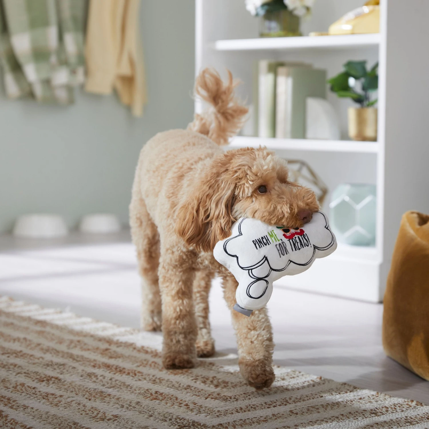 Frisco St. Patrick's Thought Bubble Reversible Plush Squeaky Dog Toy 7 Frisco St. Patrick's Thought Bubble Reversible Plush Squeaky Dog Toy - Image 5