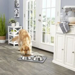 Frisco Fold & Carry Double Door Collapsible Wire Dog Crate & Mat Kit & Frisco Stainless Steel Bowl 17 Frisco Fold & Carry Double Door Collapsible Wire Dog Crate & Mat Kit & Frisco Stainless Steel Bowl -Frisco 303428 PT7. AC SS1800 V1623045760