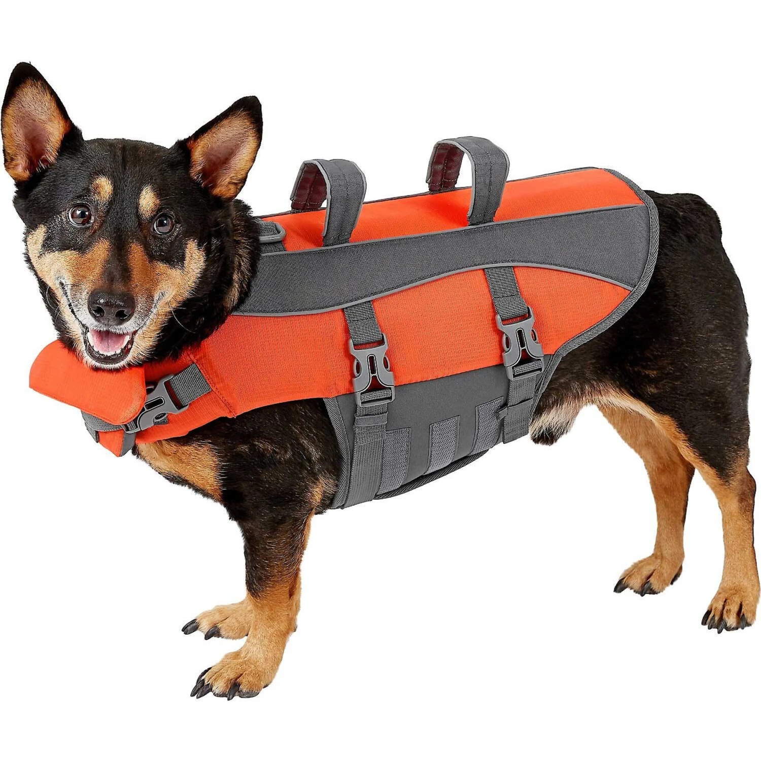 Frisco Ripstop Dog Life Jacket & Frisco Foam Rubber Floating Fetch Ball No Squeak Dog Toy 4 Frisco Ripstop Dog Life Jacket & Frisco Foam Rubber Floating Fetch Ball No Squeak Dog Toy - Image 2