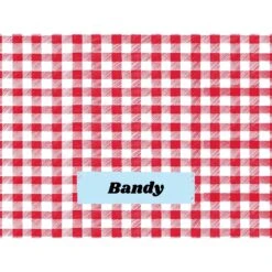 Frisco Personalized Gingham Plaid Soft Fleece Cat & Dog Blanket, 30" X 40" 12 Frisco Personalized Gingham Plaid Soft Fleece Cat & Dog Blanket, 30" X 40" -Frisco 304001 PT4. AC SS1800 V1637609279
