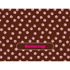 Frisco Personalized Paws Soft Fleece Cat & Dog Blanket, 30" X 40" -Frisco 304007 PT4. AC SS1800 V1637609343