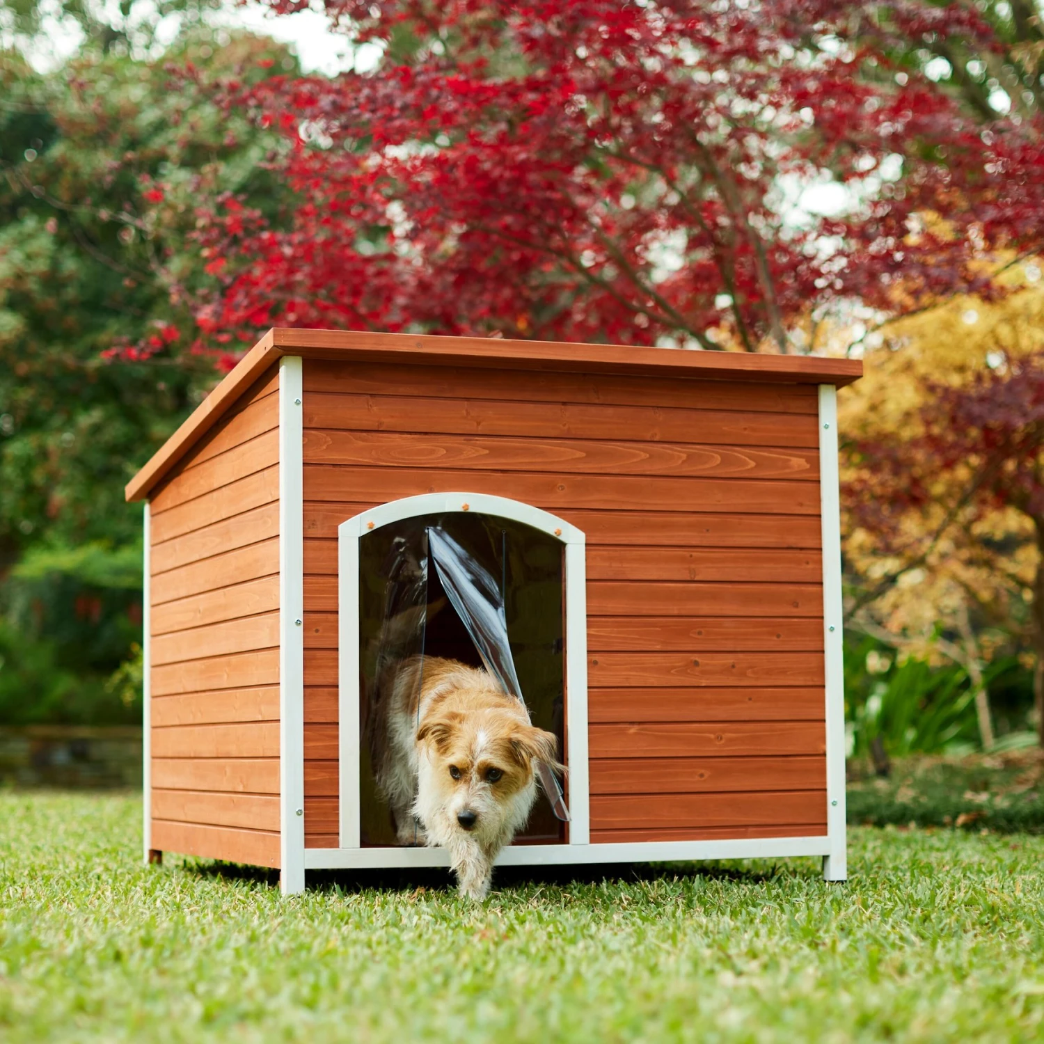 Frisco Craftsman Wooden Outdoor Dog House 3 Frisco Craftsman Wooden Outdoor Dog House