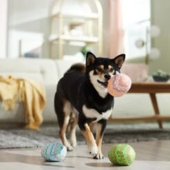 Frisco Easter Eggs Plush Squeaky Dog Toy 12 Frisco Easter Eggs Plush Squeaky Dog Toy -Frisco 304954 PT4. AC SS1800 V1702500565