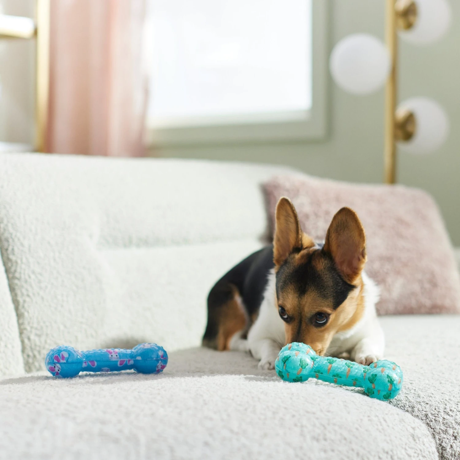 Frisco Easter TPR Bone Squeaky Dog Toy, Medium/Large, 2 Count 6 Frisco Easter TPR Bone Squeaky Dog Toy, Medium/Large, 2 Count - Image 4