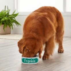 Frisco Personalized Chevron Ceramic Dog Bowl, 4.75-cup, 38oz 11 Frisco Personalized Chevron Ceramic Dog Bowl, 4.75-cup, 38oz -Frisco 306761 PT4. AC SS1800 V1639518108