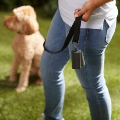 Frisco Poop Bag Square Design Dispenser 14 Frisco Poop Bag Square Design Dispenser -Frisco 309818 PT5. AC SS1800 V1669101248