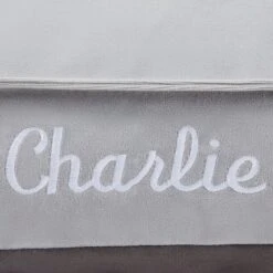 Frisco Personalized Silver Bolstered Bed With Silver Check Bolster, X-Large 8 Frisco Personalized Silver Bolstered Bed With Silver Check Bolster, X-Large -Frisco 311772 PT3. AC SS1800 V1630594010