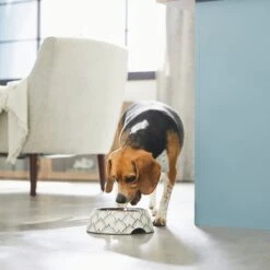 Frisco Moroccan Design Stainless Steel Dog & Cat Bowl -Frisco 311963 PT2. AC SS1800 V1642542922