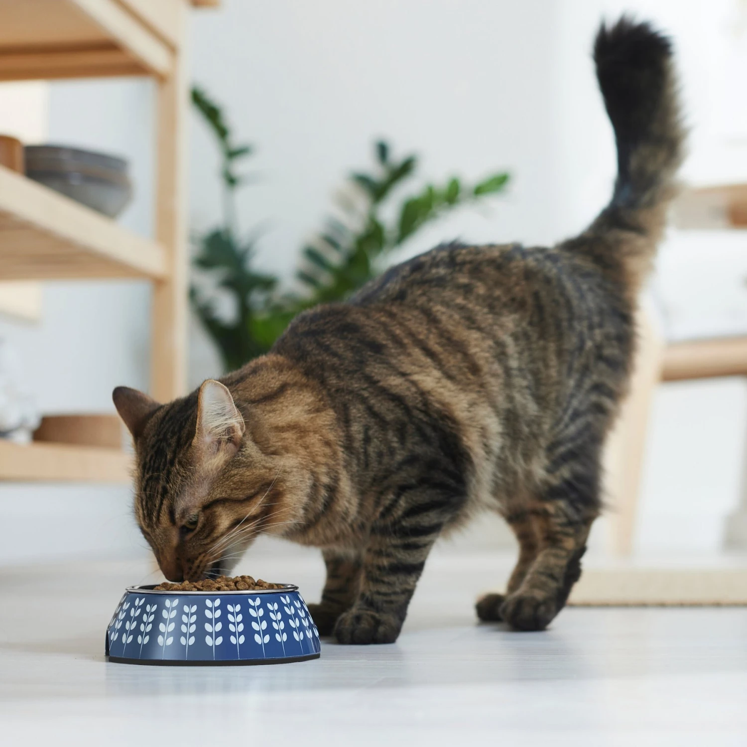 Frisco Leaf Design Stainless Steel Dog & Cat Bowl 6 Frisco Leaf Design Stainless Steel Dog & Cat Bowl - Image 4