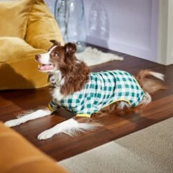 Frisco Boho Gingham Dog & Cat PJs 13 Frisco Boho Gingham Dog & Cat PJs -Frisco 312272 PT8. AC SS1800 V1644880063