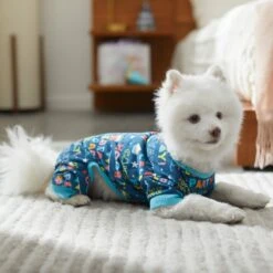 Frisco Celebration Dog & Cat PJs 11 Frisco Celebration Dog & Cat PJs -Frisco 315105 PT8. AC SS1800 V1646437758