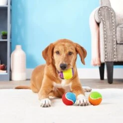 Frisco Fetch Squeaking Colorful Tennis Ball Dog Toy & Playology Scented Dual Layer Bone Dog Toy 14 Frisco Fetch Squeaking Colorful Tennis Ball Dog Toy & Playology Scented Dual Layer Bone Dog Toy -Frisco 319022 PT3. AC SS1800 V1630552585