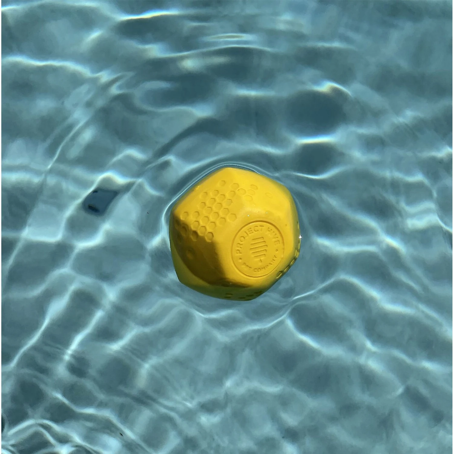 Frisco Fetch Squeaking Colorful Tennis Ball Dog Toy & Project Hive Pet Company Ball Dog Toy 9 Frisco Fetch Squeaking Colorful Tennis Ball Dog Toy & Project Hive Pet Company Ball Dog Toy - Image 7